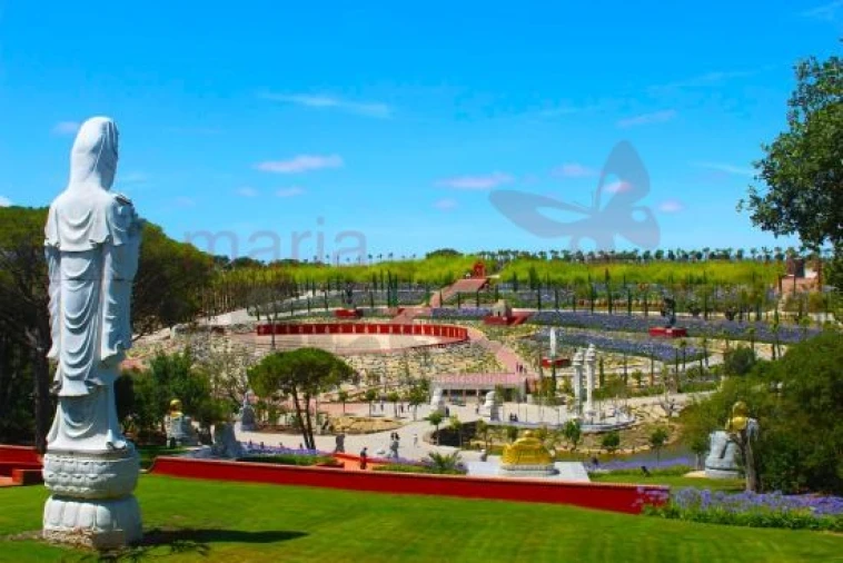 Terreno para Venda em Roliça Foto 11