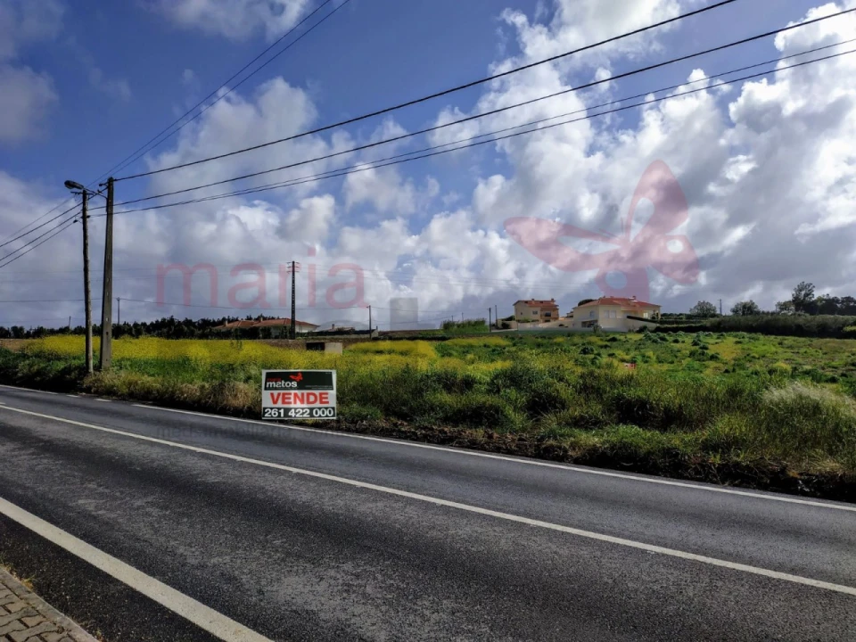 Terreno para Venda em Lourinhã e Atalaia Foto 3
