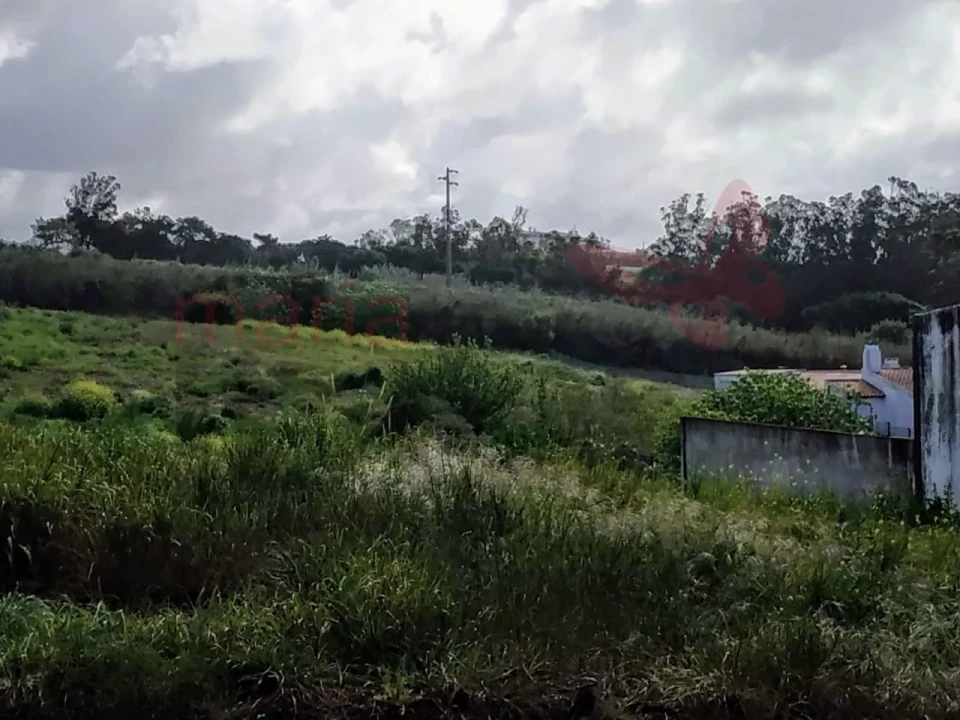 Terreno para Venda em Lourinhã e Atalaia Foto 5