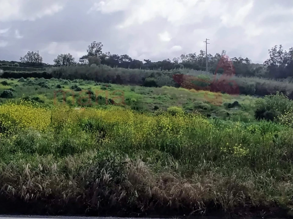 Terreno para Venda em Lourinhã e Atalaia Foto 6