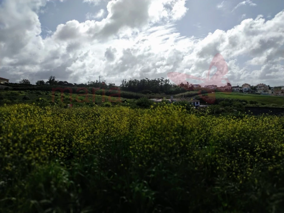 Terreno para Venda em Lourinhã e Atalaia Foto 8