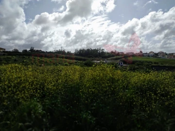 Terreno para Venda em Lourinhã e Atalaia