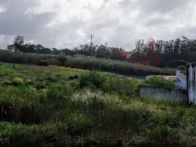 Terreno para Venda em Lourinhã e Atalaia Foto 5