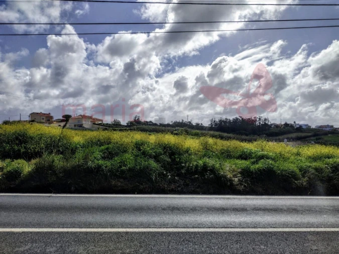 Terreno para Venda em Lourinhã e Atalaia Foto 2