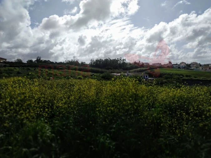 Terreno para Venda em Lourinhã e Atalaia Foto 8