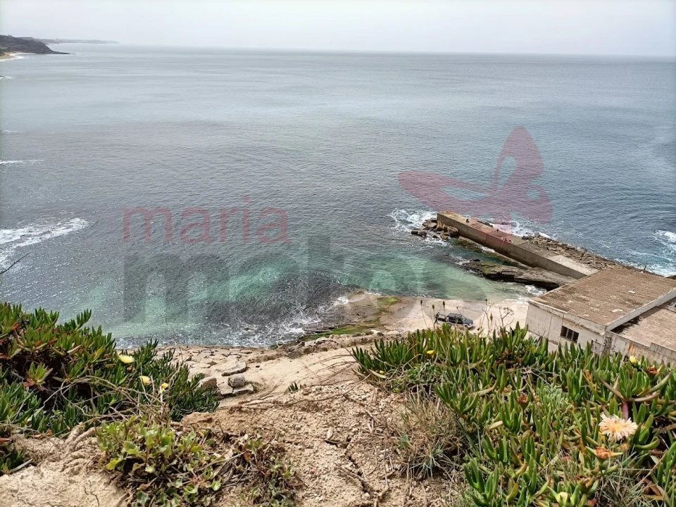 Terreno para Venda em Lourinhã e Atalaia Foto 8