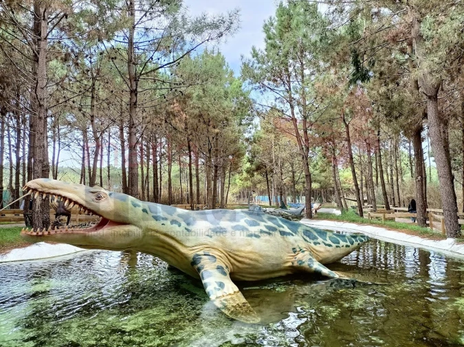 Terreno para Venda em São Bartolomeu dos Galegos e Moledo Foto 6