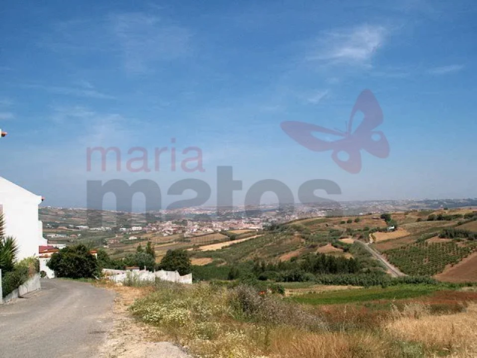 Terreno Agricola ou Rústico para Venda em Lourinhã e Atalaia Foto 2