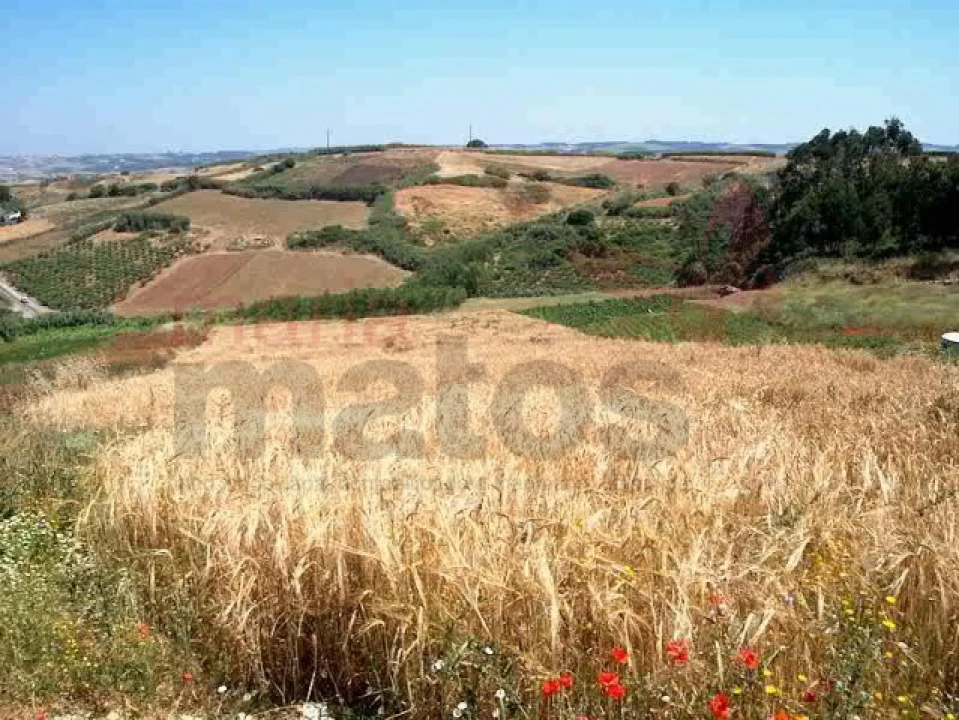 Terreno Agricola ou Rústico para Venda em Lourinhã e Atalaia Foto 1