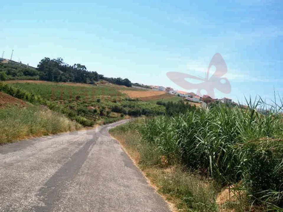 Terreno Agricola ou Rústico para Venda em Lourinhã e Atalaia Foto 3