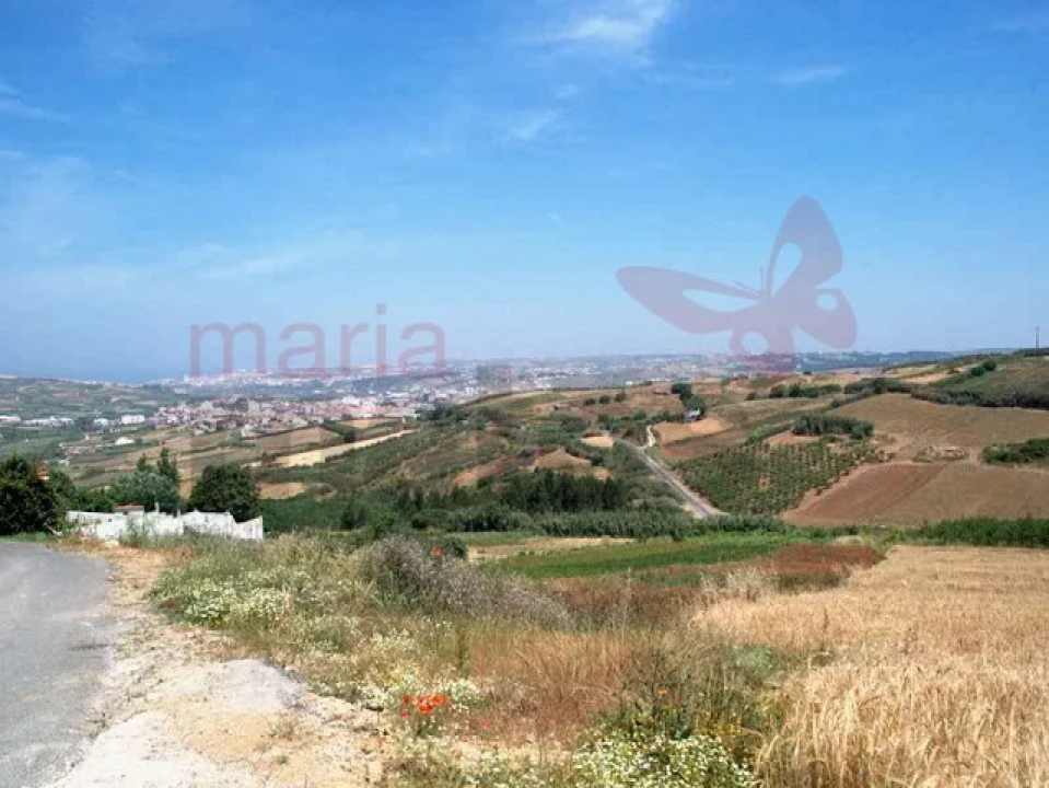 Terreno Agricola ou Rústico para Venda em Lourinhã e Atalaia Foto 4