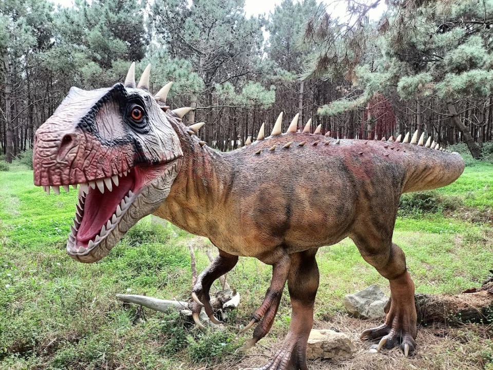 Terreno Agricola ou Rústico para Venda em Lourinhã e Atalaia Foto 6