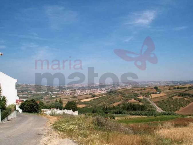 Terreno Agricola ou Rústico para Venda em Lourinhã e Atalaia Foto 2