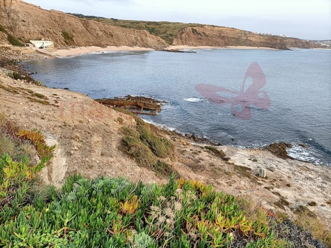 Terreno Agricola ou Rústico para Venda em Lourinhã e Atalaia Foto 8