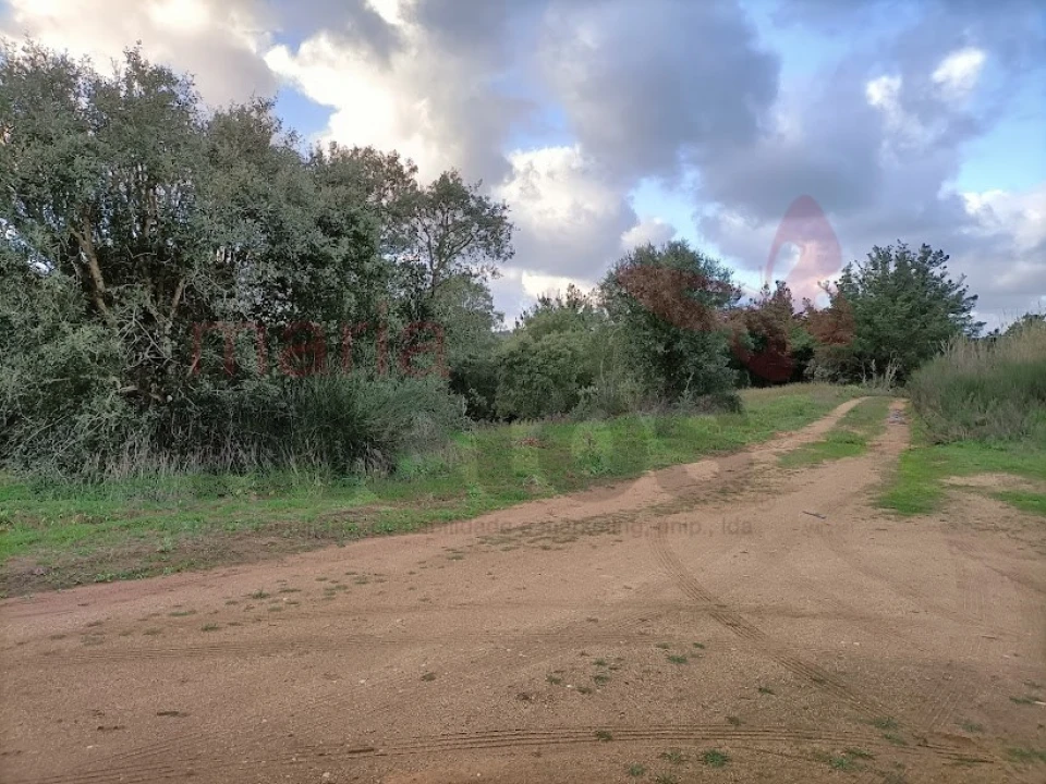 Terreno para Venda em Vau Foto 2