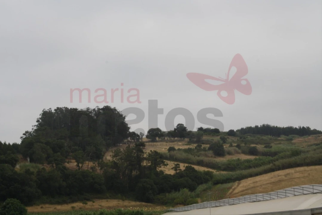 Terreno Agricola ou Rústico para Venda em Lourinhã e Atalaia Foto 5