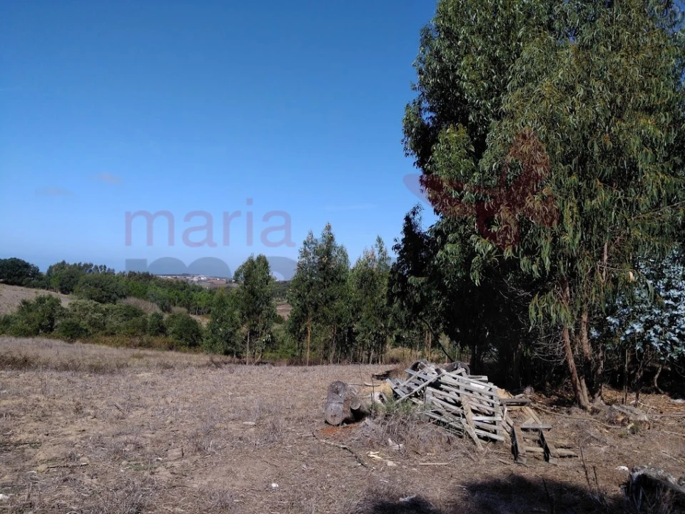 Terreno Agricola ou Rústico para Venda em Lourinhã e Atalaia Foto 3