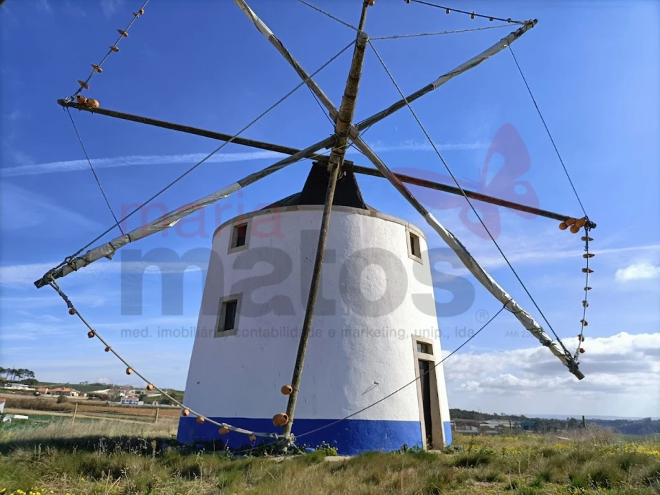 Terreno Agricola ou Rústico para Venda em Lourinhã e Atalaia Foto 10