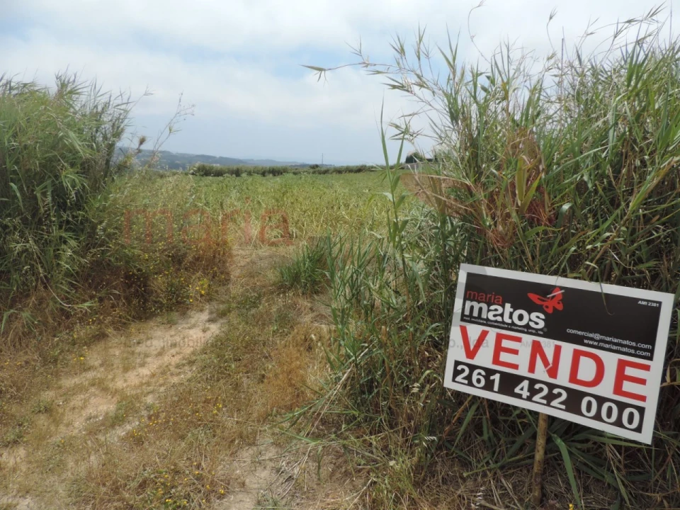 Terreno Agricola ou Rústico para Venda em Lourinhã e Atalaia Foto 2