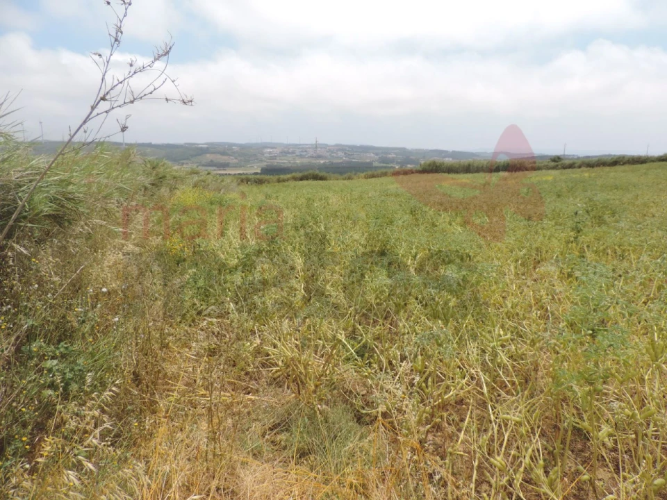 Terreno Agricola ou Rústico para Venda em Lourinhã e Atalaia Foto 1