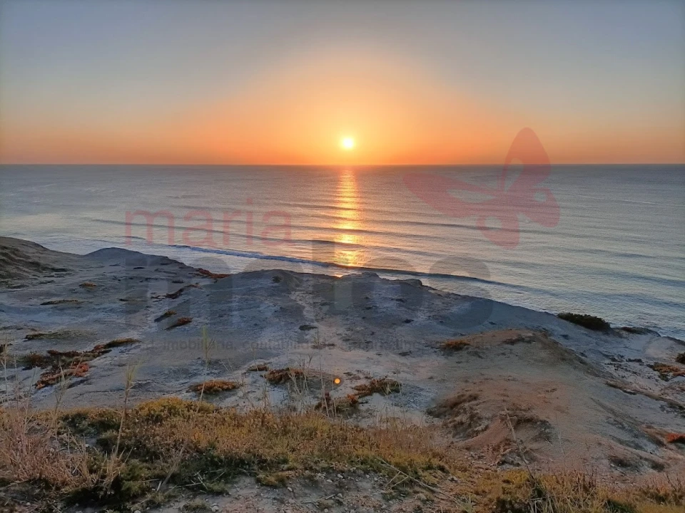 Terreno Agricola ou Rústico para Venda em Lourinhã e Atalaia Foto 7