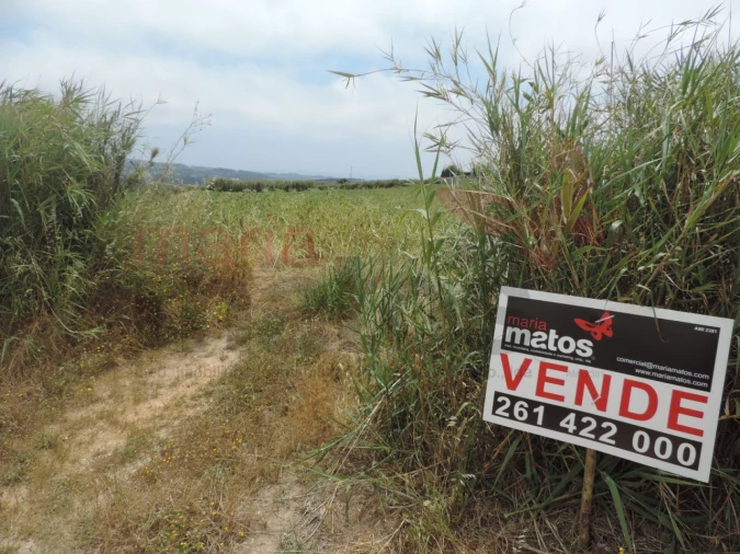Terreno Agricola ou Rústico para Venda em Lourinhã e Atalaia Foto 2