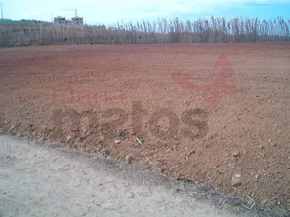 Terreno Agricola ou Rústico para Venda em Lourinhã e Atalaia Foto 4