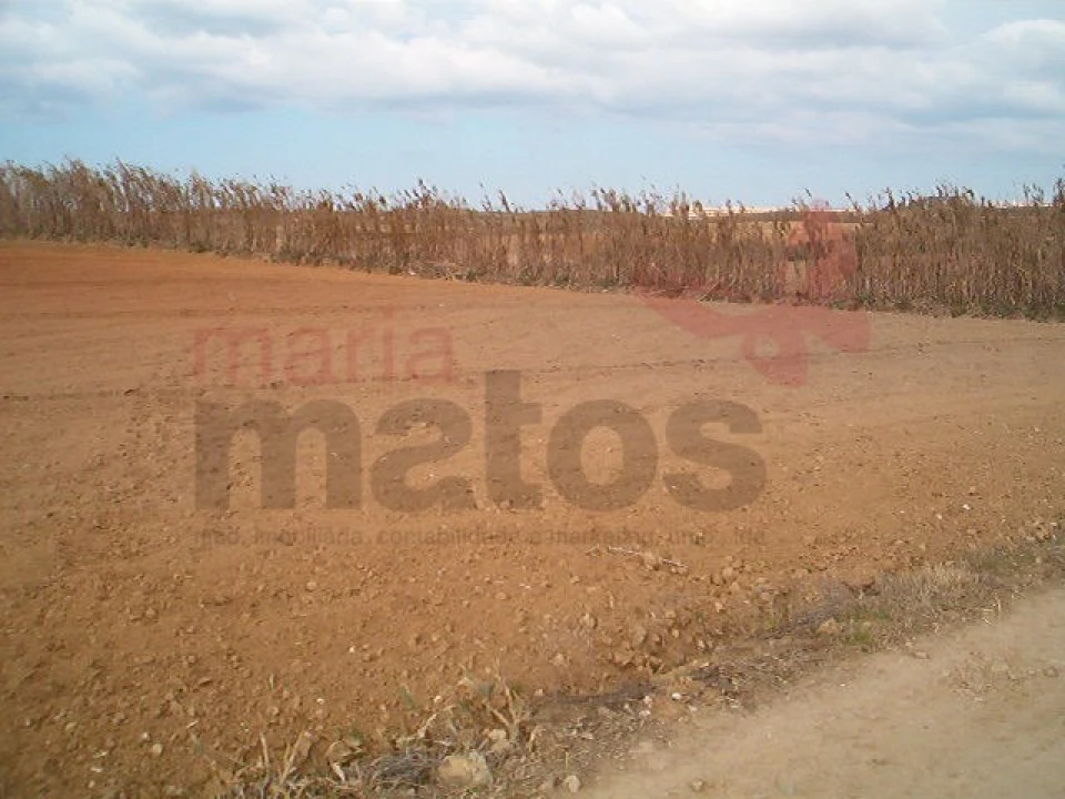 Terreno Agricola ou Rústico para Venda em Lourinhã e Atalaia Foto 2