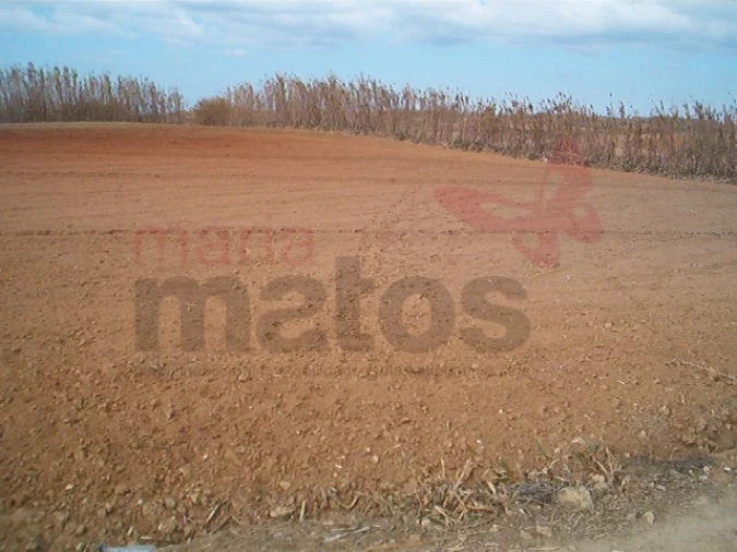 Terreno Agricola ou Rústico para Venda em Lourinhã e Atalaia Foto 3