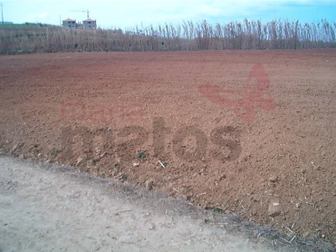 Terreno Agricola ou Rústico para Venda em Lourinhã e Atalaia Foto 4