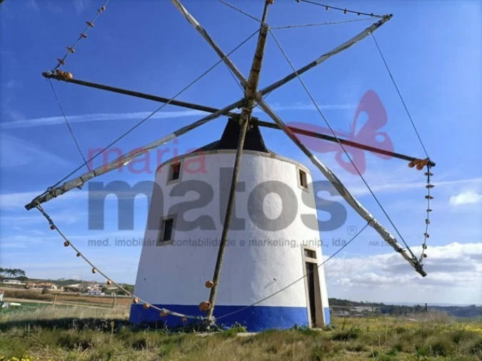 Terreno Agricola ou Rústico para Venda em Lourinhã e Atalaia Foto 12