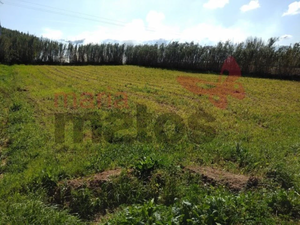 Terreno Agricola ou Rústico para Venda em Lourinhã e Atalaia Foto 2