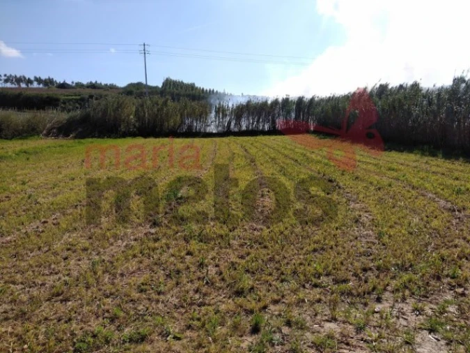 Terreno Agricola ou Rústico para Venda em Lourinhã e Atalaia