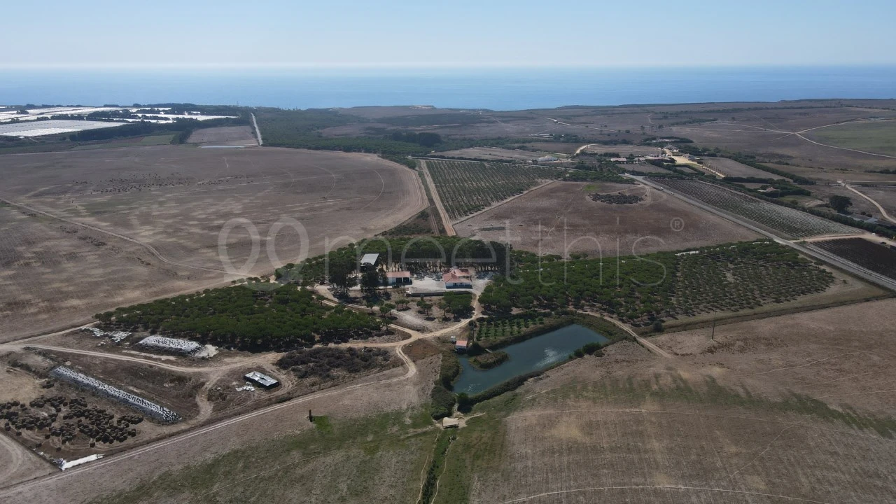 Quinta para Venda em São Teotónio Foto 13