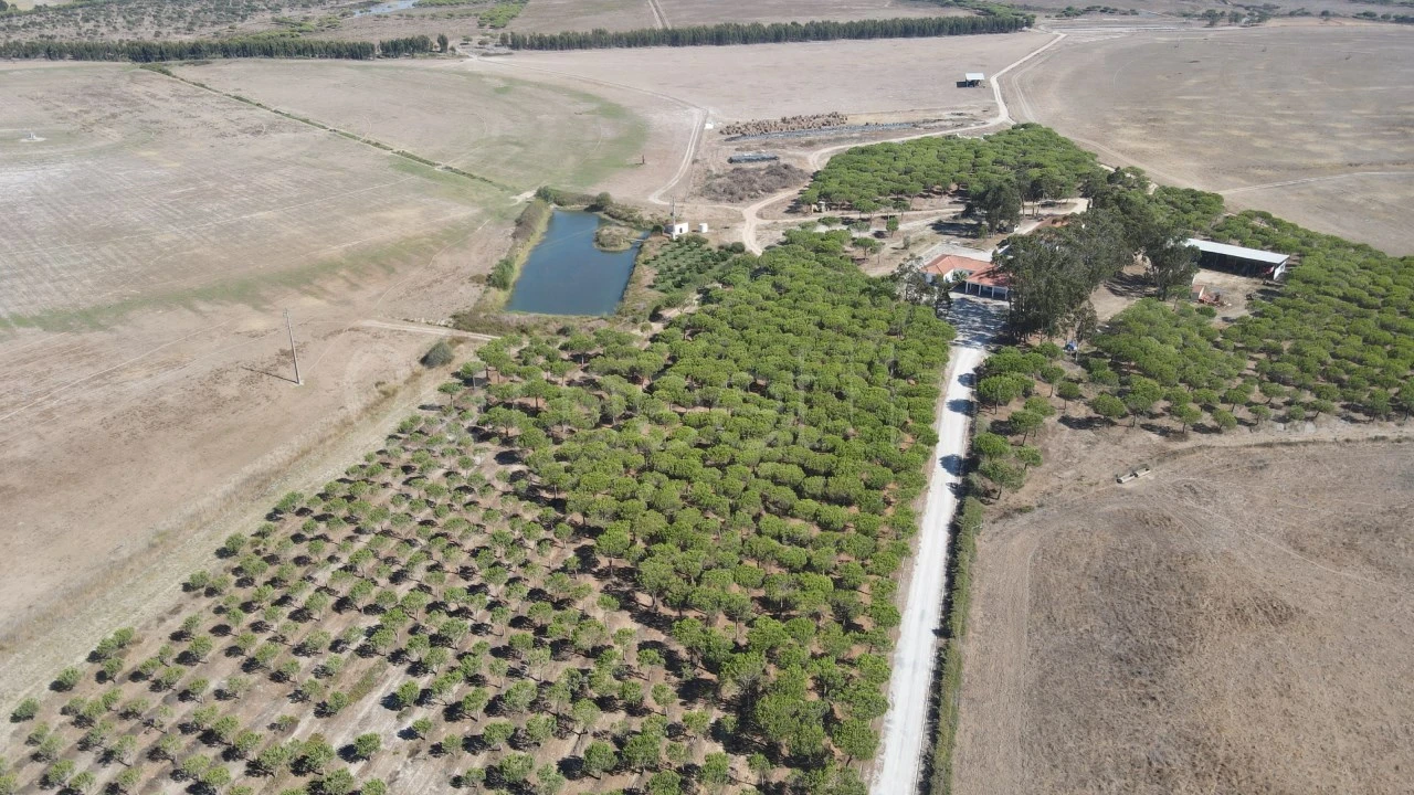 Quinta para Venda em São Teotónio Foto 16