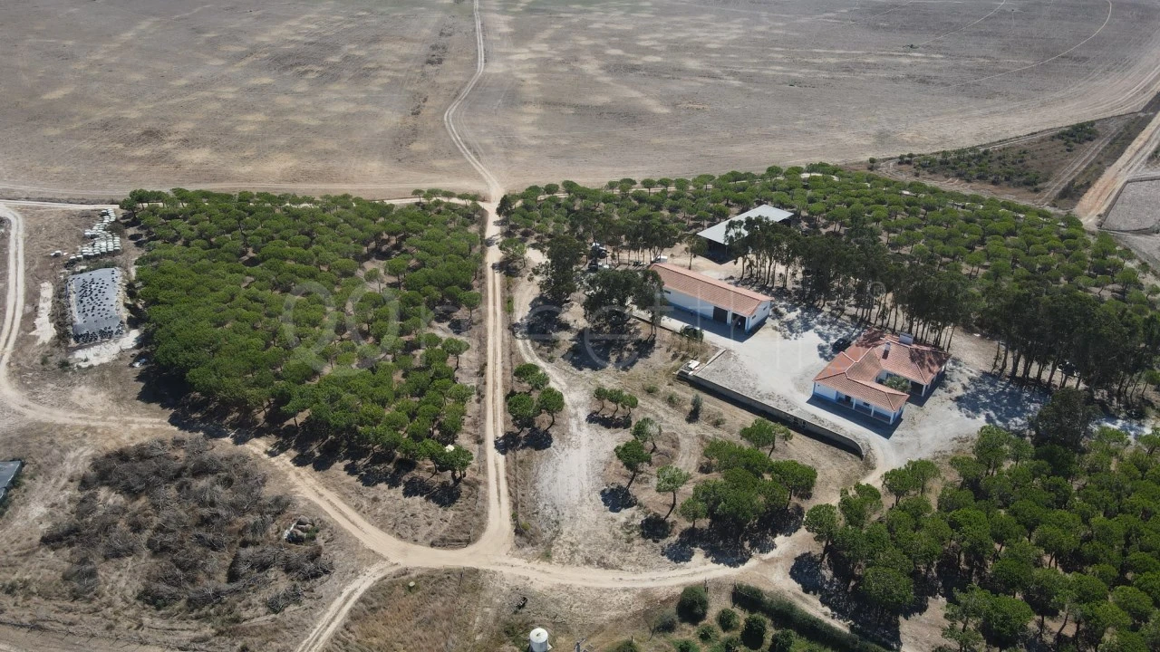 Quinta para Venda em São Teotónio Foto 17