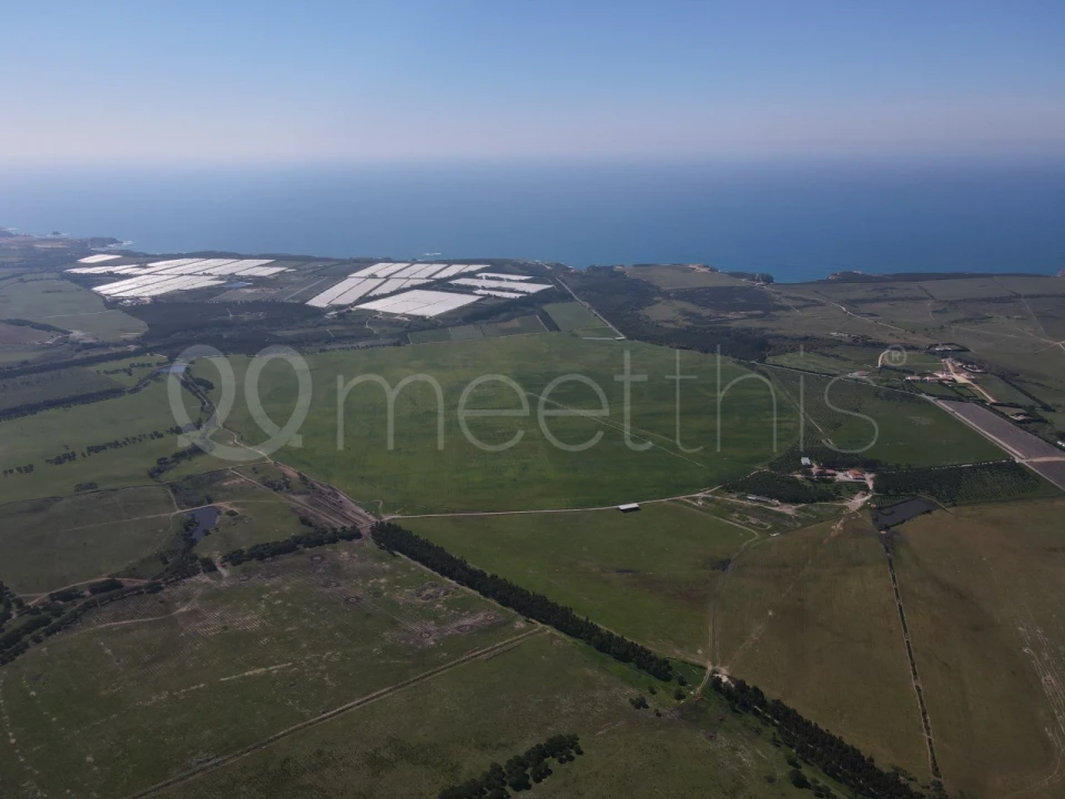 Quinta para Venda em São Teotónio Foto 7