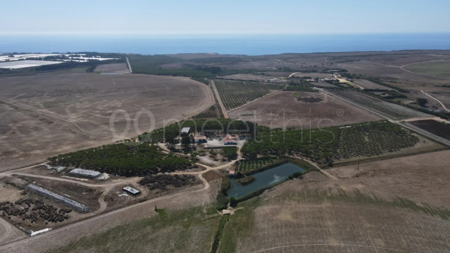 Quinta para Venda em São Teotónio Foto 13