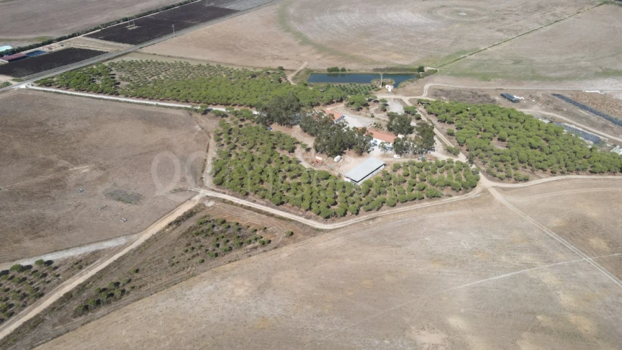 Quinta para Venda em São Teotónio Foto 14