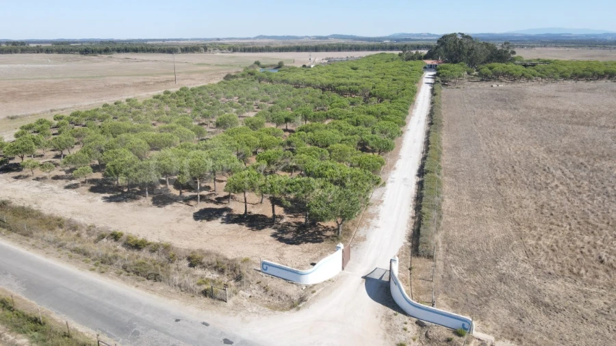 Quinta para Venda em São Teotónio Foto 15
