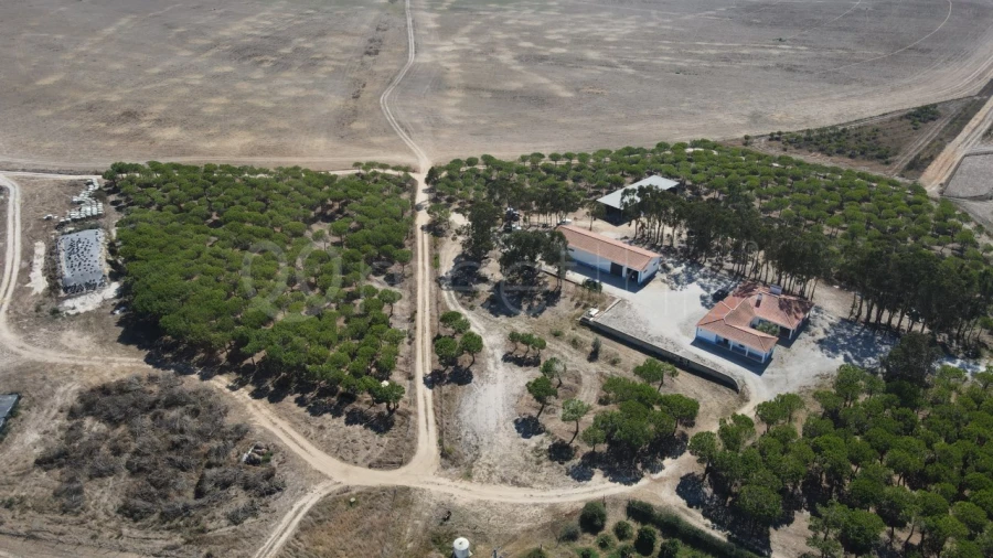 Quinta para Venda em São Teotónio Foto 17