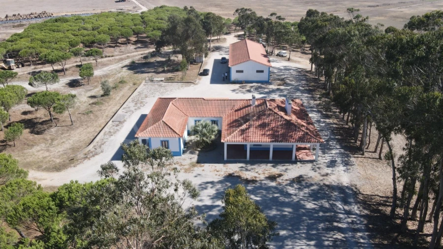 Quinta para Venda em São Teotónio Foto 2