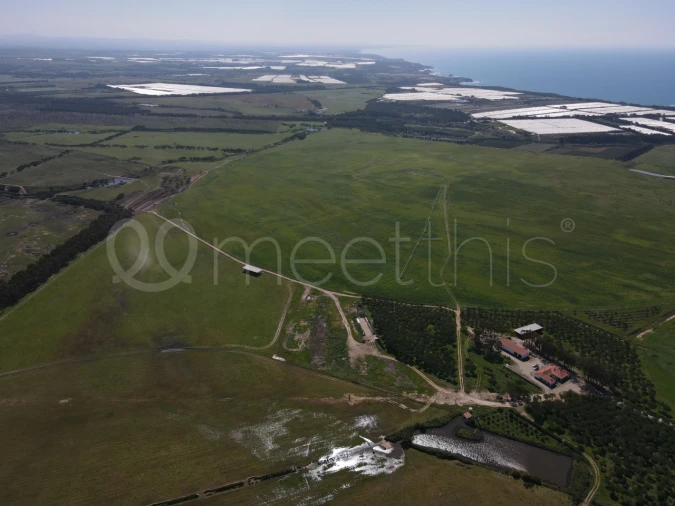 Quinta para Venda em São Teotónio Foto 5