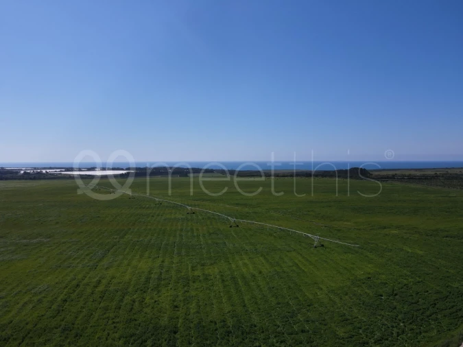 Quinta para Venda em São Teotónio Foto 9