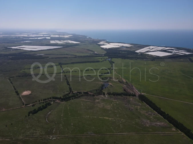 Quinta para Venda em São Teotónio Foto 4