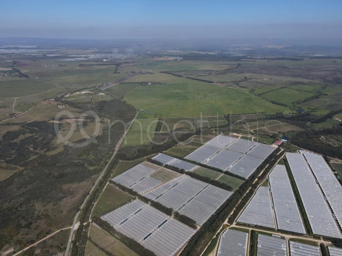 Quinta para Venda em São Teotónio Foto 10