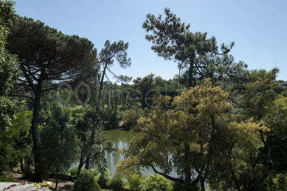 Moradia T9 para Venda em Alcabideche