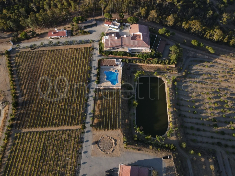 Quinta T9 para Venda em Mertola Foto 14