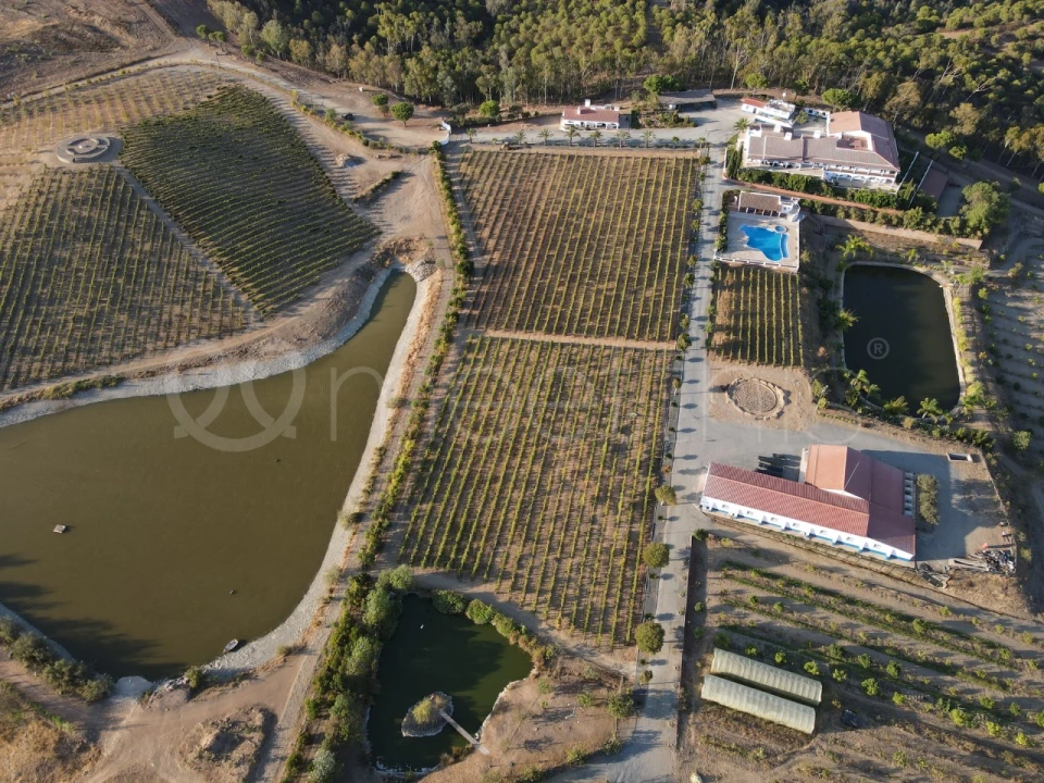 Quinta T9 para Venda em Mertola Foto 16