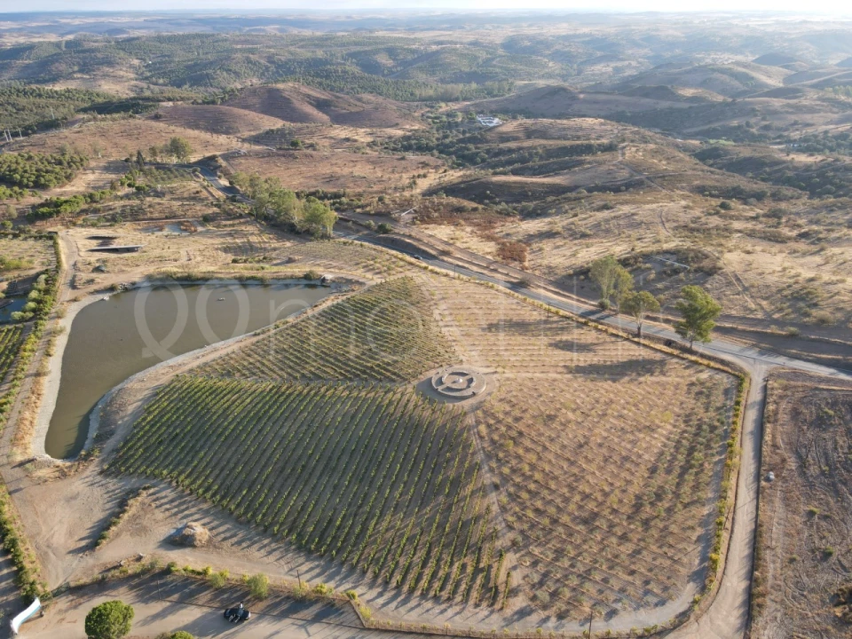 Quinta T9 para Venda em Mertola Foto 18